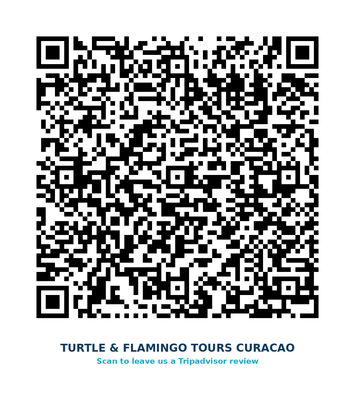 Scan to leave a TripAdvisor review for Turtle & Flamingo Tours Curaçao